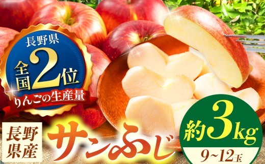【先行受付】信州産　サンふじ約3kg (8～12玉) | ふるさと納税 果物 くだもの フルーツ サンふじ リンゴ りんご 林檎 信州産 長野県 松本市