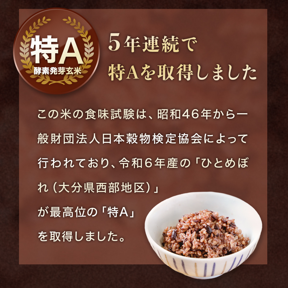酵素発芽玄米「健やかごはん」20個入 素材にこだわり玖珠