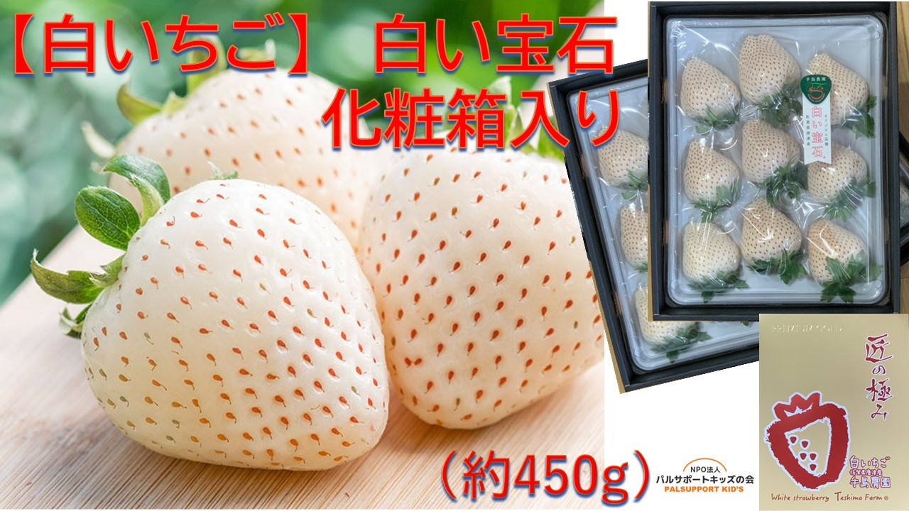 【白いちご】白い宝石 化粧箱入り （約450g）白いちごは、香り高くフルーティです。