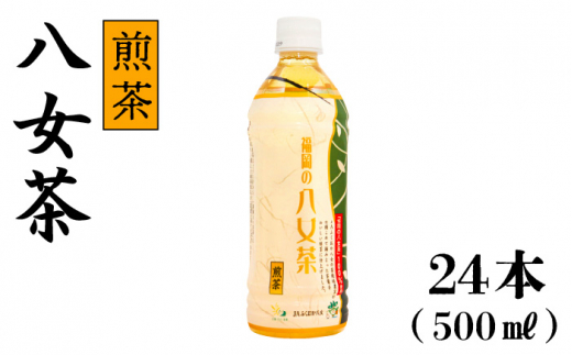 
福岡の八女茶 煎茶 500ml×24本入り＜一般社団法人地域商社ふるさぽ＞那珂川市 [GBX033]
