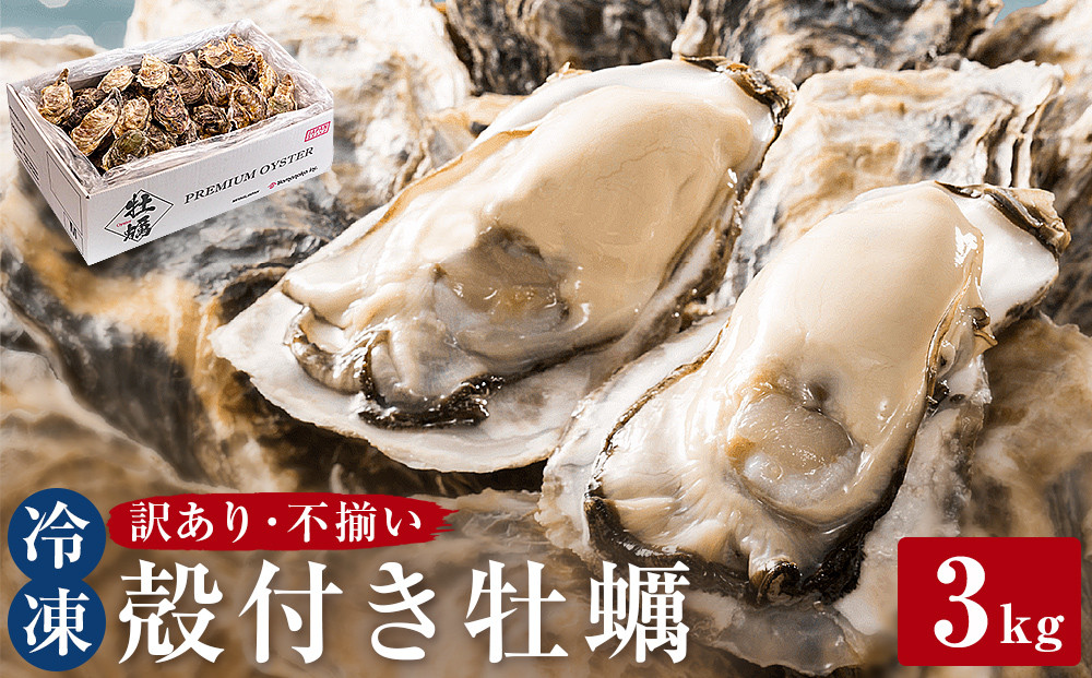 
＜訳あり・不揃い＞ 冷凍殻付き牡蠣 ３kg 宮城県 石巻市 三陸産 カキ かき 加熱用
