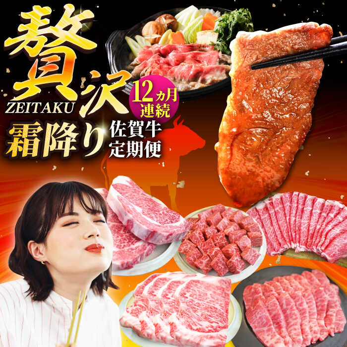 【ふるさと納税】【牧場直送】【12回定期便】佐賀牛 贅沢 定期便【佐賀セントラル牧場】佐賀牛 黒毛和牛 贅沢 A4 A5 肉 お肉 ランキング 人気 おすすめ 冷凍 ギフト 佐賀県 白石町 [IAH088]