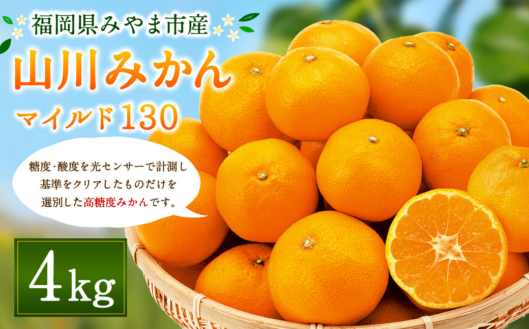 
            A2 山川 みかん マイルド130 4kg 数量限定 蜜柑 山川みかん ミカン 厳選 【2025年11月上旬～12月上旬迄順次発送予定】
          