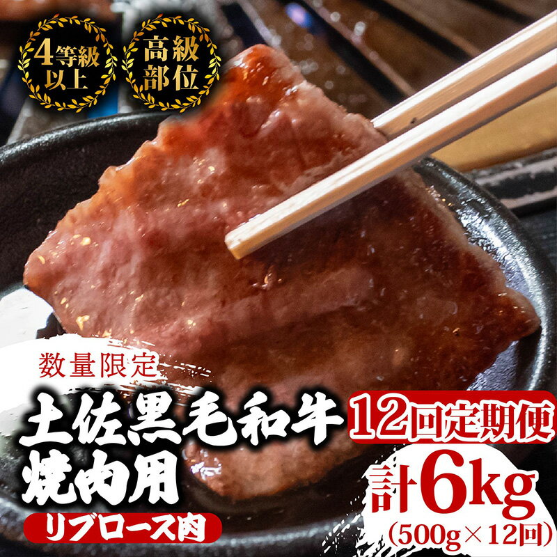 【ふるさと納税】 【定期便12回】土佐 黒毛 和牛 焼肉用 計6kg（500g×12ヶ月連続お届け) 4Pコース | 特撰 リブロース ロース A4 A5 焼き肉 やきにく 小分け 冷凍 国産 ブランド 和牛 牛肉 大人気 ギフト おすすめ ランキング おいしい 限定 高知県 須崎 TM96000