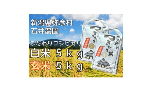 ＜新米＞新県弥彦村石井農園　令和6年産コシヒカリ白米・玄米 食べ比べセット＜白米5kg、玄米5kg＞【1508848】