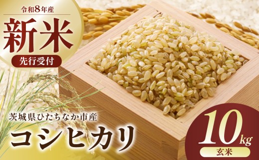 【令和8年産】コシヒカリ 玄米 10kg 茨城県ひたちなか市産  | コシヒカリ こしひかり 米 お米 おこめ こめ 玄米 白米 精米 ごはん ご飯 コシヒカリ 稲作一筋 こしひかり  コシヒカリ厳選米 茨城県産 こしひかり 産地直送 国産 ブランド米 甘みが強い ふっくら 艶やか 茨城県 ひたちなか市