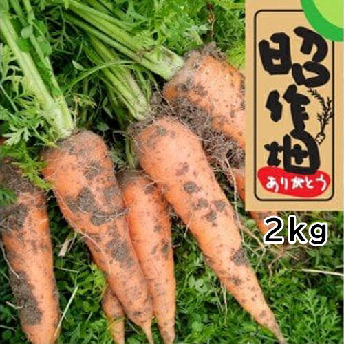 【ふるさと納税】土付きにんじん2kg 　無農薬 　土付き 　人参　掘りたて　季節限定　新鮮　健康　産地直送　冬野菜