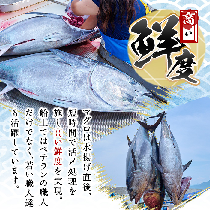 佐伯市産本マグロ 中トロ・赤身 食べ比べ(合計約400g・中トロ200g・赤身200g) 中とろ あかみ セット マグロ 鮪 刺身 さしみ 魚 海鮮 冷凍 大分県 佐伯市【DH258】【(株)ネクサ】