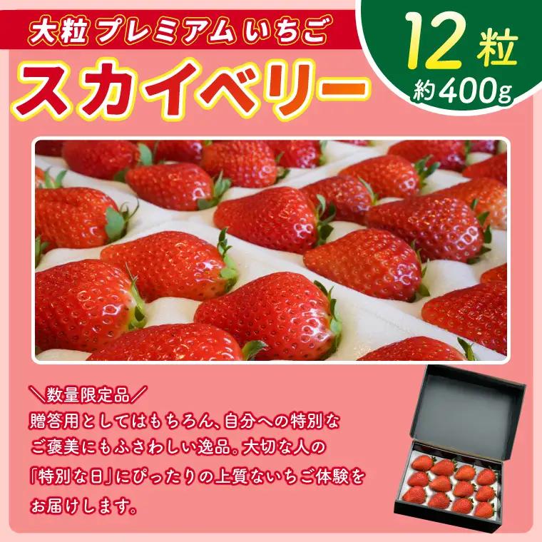 【数量限定】大粒プレミアムいちご スカイベリー 12粒 (約400g)  (DS004)