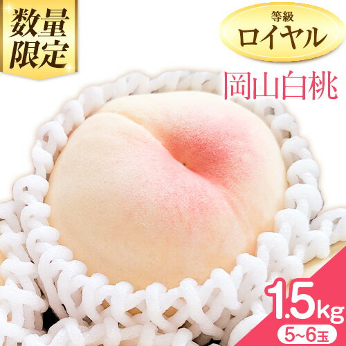 【ふるさと納税】【2026年先行予約】岡山の白桃 等級 ロイヤル 約1.5kg(5〜6玉) 清水白桃 おかやま夢白桃 白鳳 白麗 なつおとめ 晴れの国岡山農業協同組合 鴨方支店 《7月上旬-7月末頃出荷》岡山県 浅口市 岡山県産 白桃 桃 もも 果物【配送不可地域あり】