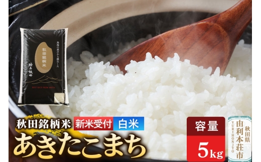 《令和8年産 新米受付》【白米】極上秋田銘柄米 あきたこまち 5kg [新米受付 米 お米 こめ 白米 精米 あきたこまち ブランド米 銘柄米 秋田県産]