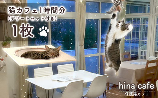 デザートセットチケット1枚 ／ hinacafe 猫カフェ 猫ルーム 猫と触れ合う 猫好き デザートセット カフェタイム スイーツ付き ドリンク付き 癒し体験 動物カフェ ふれあい体験 写真撮影 デートスポット おでかけ体験 一人時間 リラックスタイム チケット 体験型ギフト 猫好き向け 山口県 No.201