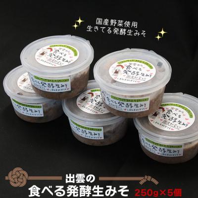 ふるさと納税 出雲市 出雲の食べる発酵生みそ250g×5個