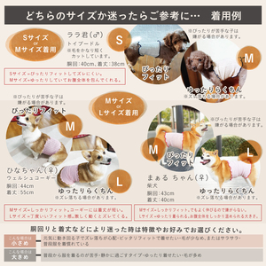 日本製 pancia シルク 腹巻 Sサイズ 【ベージュ＋グレー】 犬用 ／ はらまき 保温 まちづくり観光振興機構 ドッグウェア ペット服 ペット腹巻 冷え防止 ドッグシャツ 奈良県 田原本町
