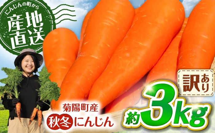 
                  【先行予約】【2026年11月より順次発送】菊陽秋冬にんじん (訳あり) 約3kg / にんじん 菊陽にんじん 秋冬にんじん ニンジン 人参 野菜 熊本 菊陽 【さかもと農園】 [BHDL006]
                