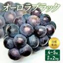 【ふるさと納税】2024年 先行予約 オーロラブラック 4～5房 合計約2kg 冷蔵配送 ぶどう 葡萄 フルーツ 果物 岡山 　 岡山のぶどう 食後 デザート 産地直送 大粒 爽やか 食べやすい 　お届け：2024年8月上旬～2024年8月下旬