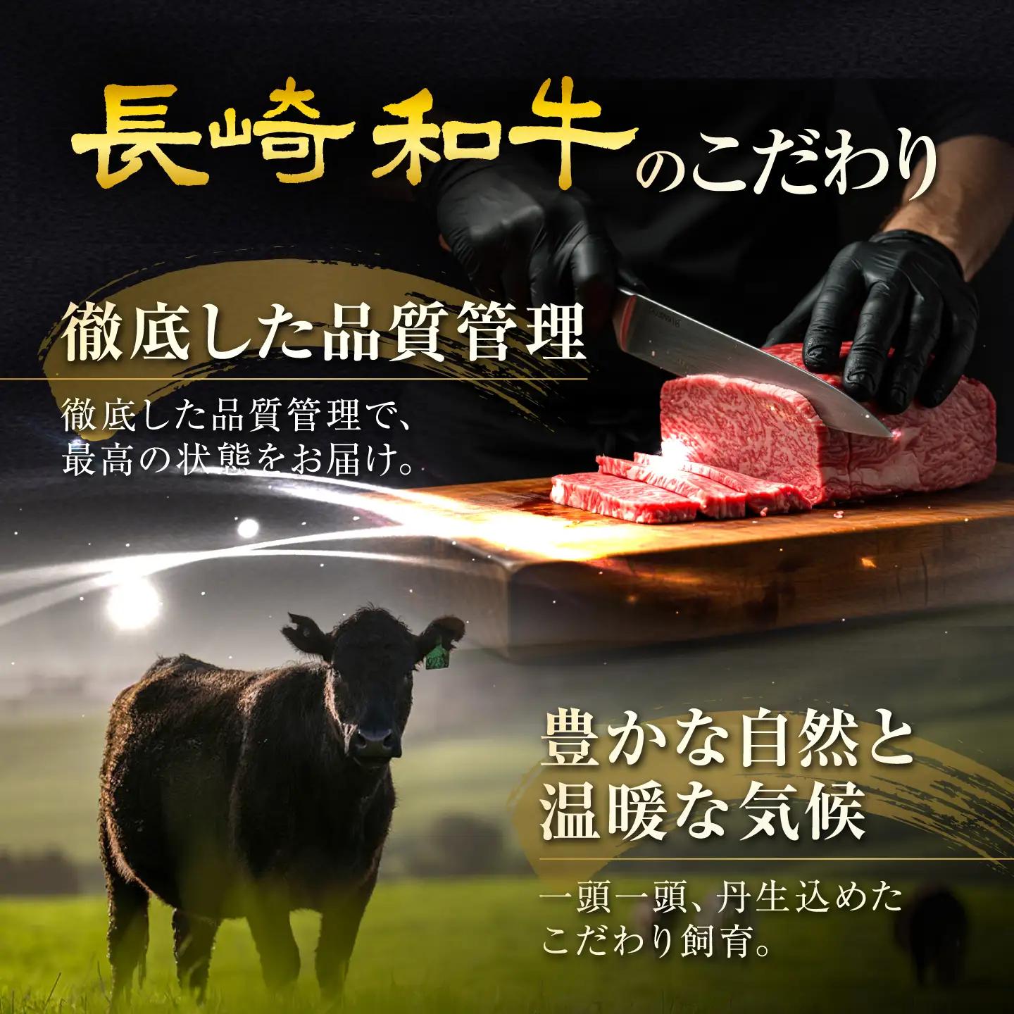 長崎和牛ヒレステーキ 約100g×3枚 計300g / ステーキ すてーき ヒレ ひれ ヒレ ヒレステーキ ヒレ肉 和牛 牛肉 肉 牛 / 大村市 / まるしん商会[ACCD052]