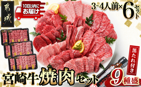 【数量限定】宮崎牛9種盛り焼肉セット(各600g×6P)≪みやこんじょ特急便≫_MC-3101-Q_(都城市) 宮崎牛 ラムシン マルシン イチボ サーロイン ザブトン 肩ロース ショートリブ カルビ 内モモ ギフト 贈答用