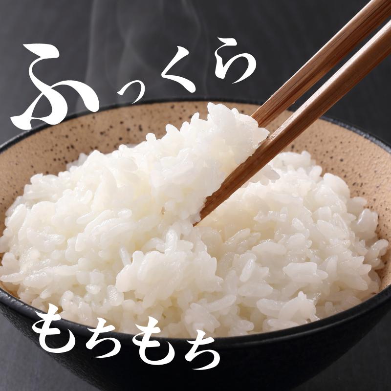 【令和7年産】 米 こしひかり 精米 5kg  お米 あいさい米 おこめ 白米 白飯 ご飯 ごはん 国産米 おにぎり おむすび お弁当 徳島 小松島 