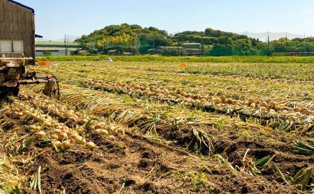 農家直送！【奈良農園】淡路島玉ねぎ ≪10kgサイズ色々≫
