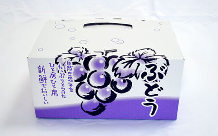 【数量限定】ピオーネと翠峰の夏のおまかせセット約200g×4パック ※着日指定不可 ※北海道・沖縄・離島への配送不可 ※2024年9月上旬～9月中旬頃に順次発送予定