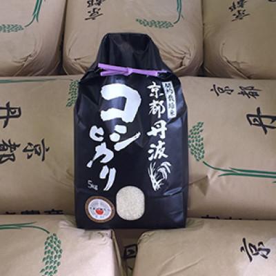 ふるさと納税 南丹市 【毎月定期便】京都丹波産 コシヒカリ 5kg 精米全8回 |  | 01