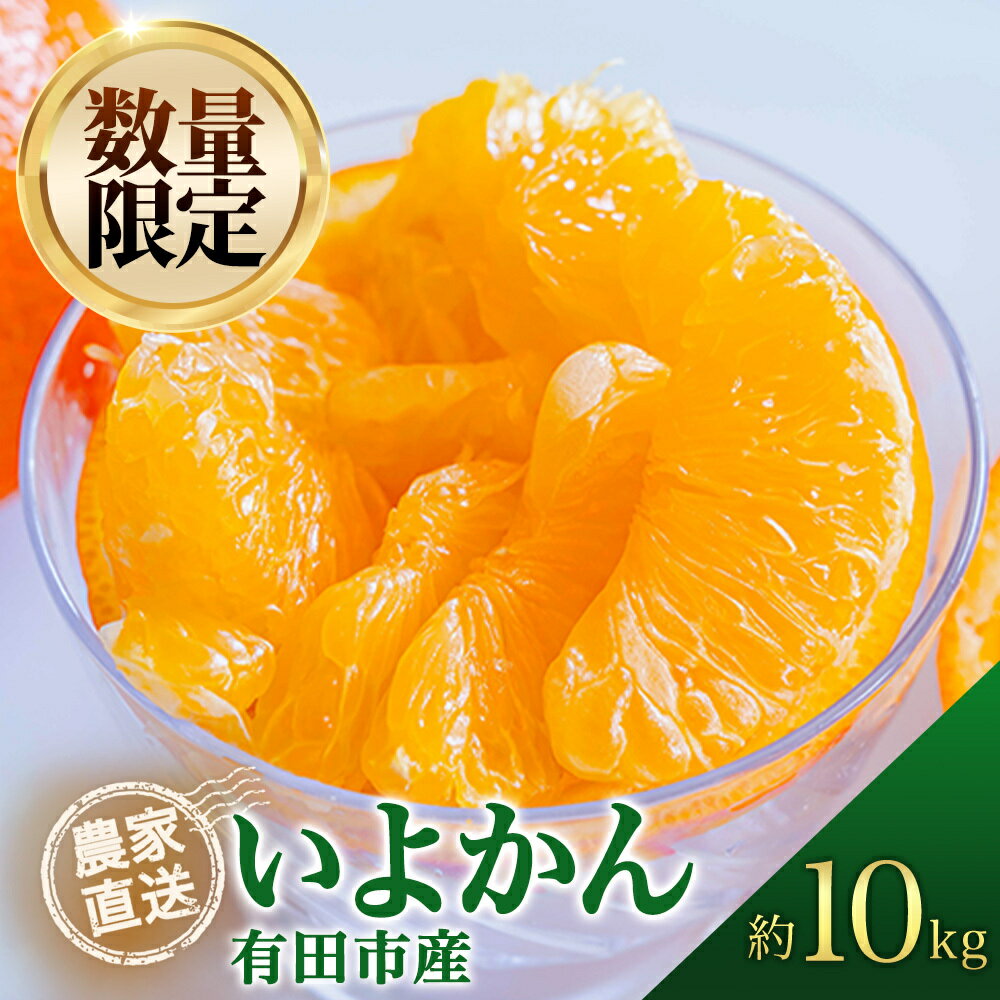 【ふるさと納税】伊予柑 いよかん 10kg 濃厚 柑橘 フルーツ 果物 くだもの みかん 人気 おすすめ 送料無料 国産 和歌山 有田市【2026年2月中旬より順次発送】（A359-1）