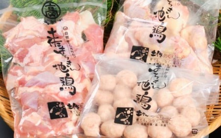 【約２～３人前】室戸のはちきん地鶏鍋セット 鍋セット2-3人 年末 地鶏 10000円 国産