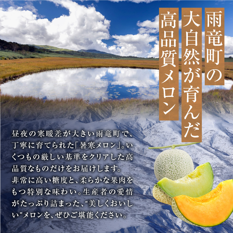 【令和7年産先行受付】北海道産 暑寒メロン  2玉(3.2kg以上 × 1箱)《2025年7月より発送予定》