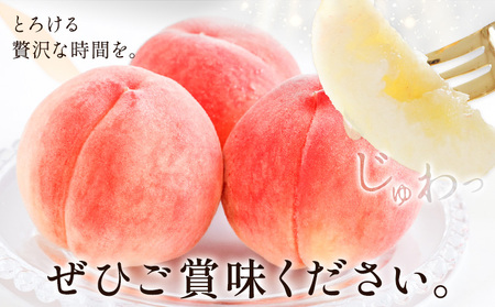 【先行予約】桃 赤秀 モモ 紀の川市産 手提げ箱 4-6玉入り 株式会社松源《6月下旬-8月中旬頃出荷》和歌山県 紀の川市 送料無料 フルーツ 果物 もも 最高ランク 贈答 プレゼント 赤秀ランク お