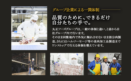 えびの高原 ビーフジャーキーセット 30g×5パック 合計150g 牛肉 珍味 おつまみ お酒のお供 燻製 家飲み おやつ 常温保存 国産 宮崎県 えびの市 発送時期が選べる 送料無料