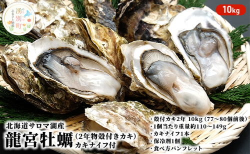 【国内消費拡大求む】北海道サロマ湖産 龍宮牡蠣10kg（2年物殻付きカキ）カキナイフ付