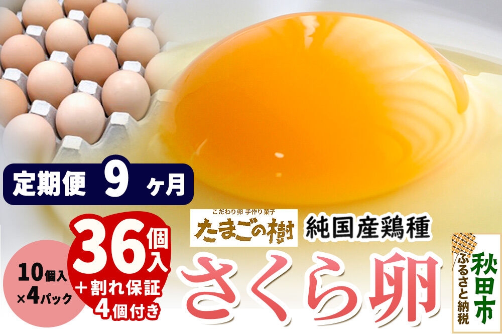 
                  《定期便9ヶ月》 たまごの樹 純国産鶏種 卵『さくら』36個+割れ保証4個付き（10個入×4パック） [たまご タマゴ 玉子 鶏卵 まとめ買い オムレツ 卵かけご飯 朝食 料理 美味しい 瀧田養鶏場]
                