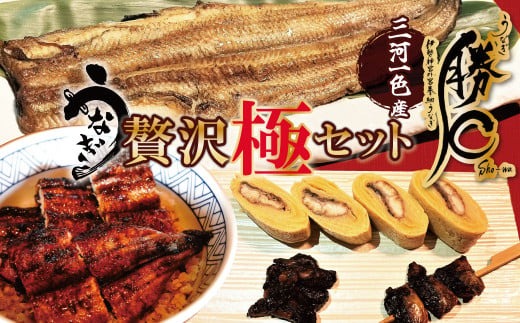 【備長炭で焼く“いい焦がし”】勝〇のぜいたく極セット 珍味うなぎの頭も食べられる 鰻 ウナギ 蒲焼 白焼 肝焼き う巻き かぶと焼き たれ タレ 国産 備長炭 土用 丑の日 冷凍 三河一色産 贅沢 ぜいたく 極み 珍味 H189-023