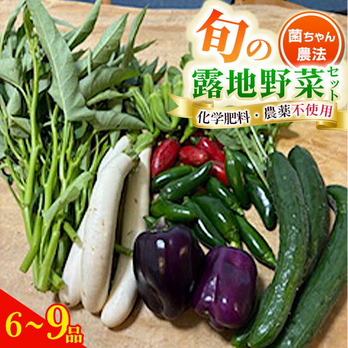 【ふるさと納税】 露地野菜 セット 【6～9品】 菌ちゃん農法 旬 化学肥料・農薬不使用 ／ 野菜セット 旬野菜セット 無農薬野菜 野菜詰め合わせ 農薬不使用野菜 露地野菜 国産野菜 産地直送 野菜宅配 季節野菜 料理好き 食材セット オーガニック野菜 健康野菜 新鮮野菜 No.540