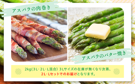 【先行受付】R8年産 アスパラガス 1kg 山内農園 | グリーンアスパラ グリーンアスパラガス アスパラ 大容量 野菜 春野菜 朝採れ 新鮮 極太 国産 サラダ 天ぷら 炒め物 家庭用 数量限定 旬