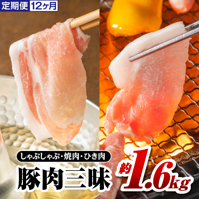 定期便 12ヶ月 まる姫ポーク 豚肉三昧 約1.6kg(肩ロース バラ モモ切り落とし 粗ミンチ) 合計約19.2kg【AK-7】｜送料無料 国産 まる姫ポーク 豚肉 ぶた肉 肉 豚バラ肉 バラ肉 挽肉 ミンチ 切り落とし 焼き肉しゃぶしゃぶ 定期便 小分け パック 江津市｜