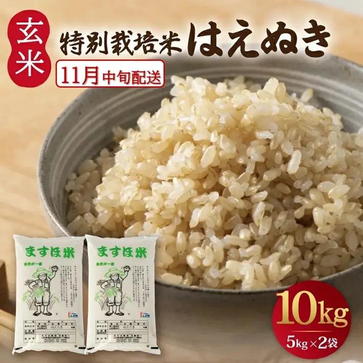 SB1013　11月中旬配送／令和8年産【玄米】　特別栽培米『はえぬき』 10kg(5kg×2袋)［減農薬・減化学肥料］ MA