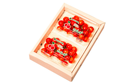 山形のさくらんぼ 紅てまり 360g Lサイズ以上 (180g×2パック) 【令和8年産先行予約】FS25-016