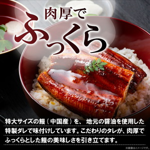 うなぎの蒲焼ビッグサイズ 3尾（計900g前後） _KP9306