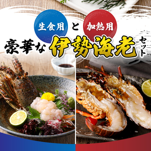 伊勢海老 三昧セットB 刺身用＋焼物用 (a80-031)