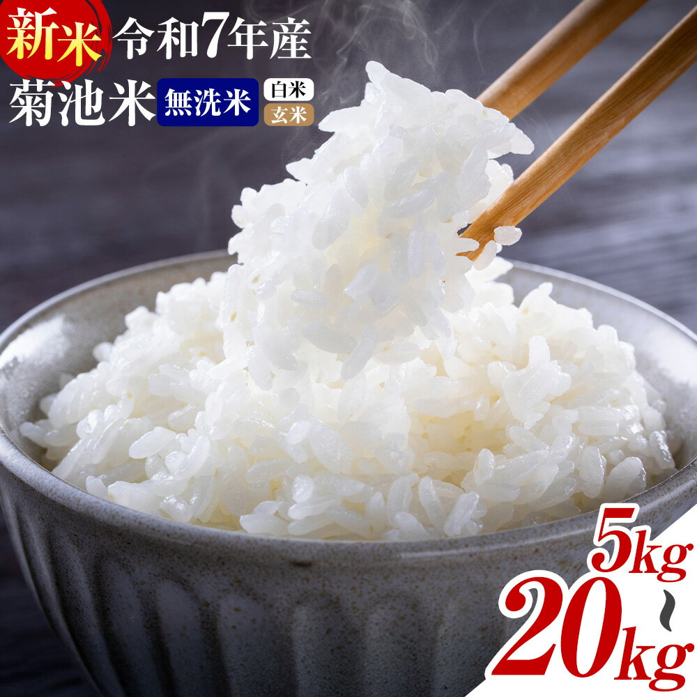 【ふるさと納税】新米 熊本県産 菊池米 無洗米 白米 玄米 5kg/10kg/20kg/30kg 定期便 選べる内容量 1袋5kg 米 お米 令和6年産 九州産 熊本県産 送料無料《内容量をお選びください》玄米 無洗米 白米 米