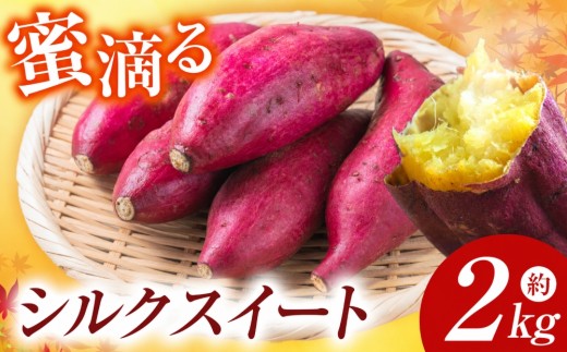 【先行予約】 蜜滴るシルクスイート2キロ（栽培期間中は農薬・化学肥料不使用）| シルクスイート さつまいも 化学肥料不使用 蜜たっぷり 甘いさつまいも 自然栽培 山の恵み ぽりっぽファーム 奈良県 御