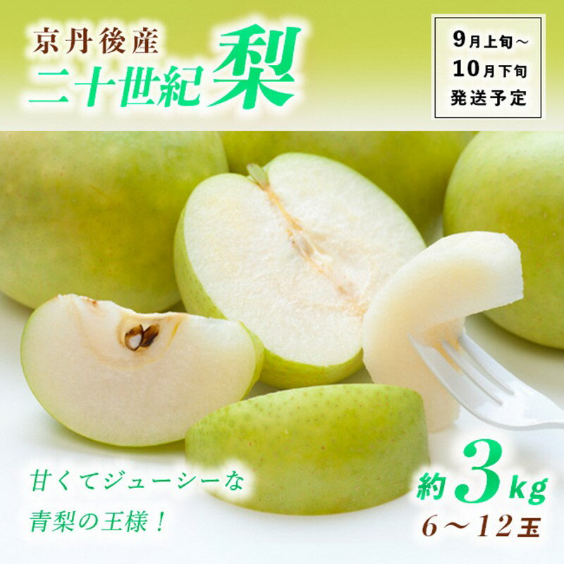 【ふるさと納税】2026秋発送【先行予約】甘～ぃ！ジューシー！！青梨の王様 京丹後産 二十世紀梨 3kg 5kg（2026年9月上旬～発送）選べる 内容量 国産 期間限定 デザート ふるさと納税 梨 なし ふるさと納税 期間限定 ふるさと納税 フルーツ 果物 農家直送
