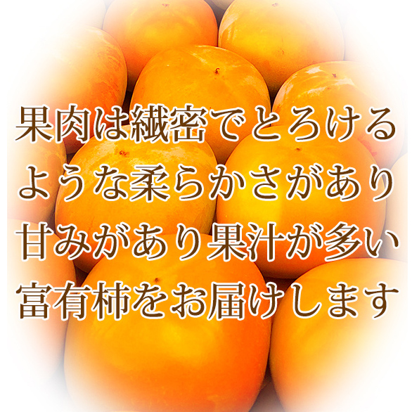 和歌山秋の味覚 富有柿 約7.5kg ※2025年11月上旬〜12月上旬頃に順次発送予定_イメージ2
