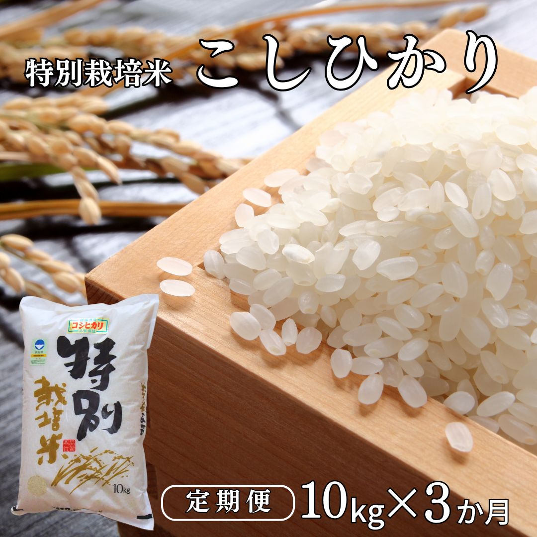 【ふるさと納税】 [定期便10kg×3ヶ月] 特別栽培米 コシヒカリ10kg 新潟県認証 令和7年産 新潟県三条市産 こしひかり 3か月連続でお届け アグリ巧房【053S002】