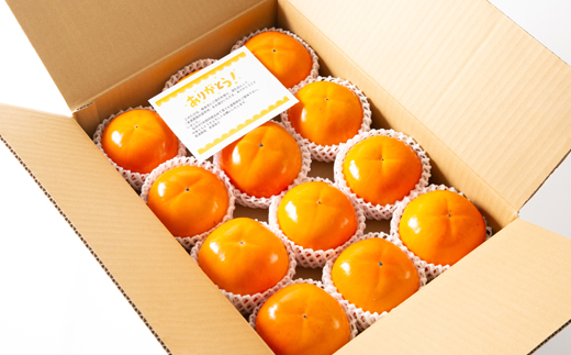 和歌山県産　美濃農園の富有柿　12個(2Lサイズ程度)【配送不可地域：離島・北海道・沖縄県】【1253530】