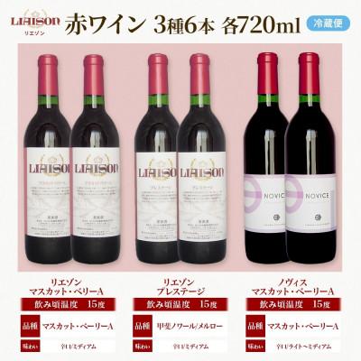 ふるさと納税 笛吹市 赤ワイン3種6本セット 各2本セット リエゾン ノヴィス 日川中央葡萄酒 山梨県 笛吹市 |  | 03