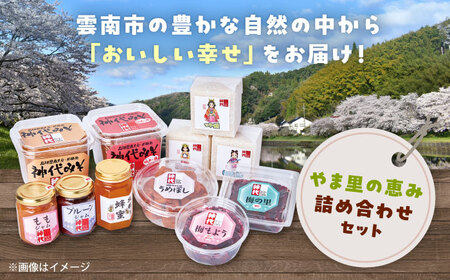 ３種の米を食べ比べ! 「やま里の恵み」詰合セット 米 こしひかり つや姫 きぬむすめ 梅 味噌 ジャム はちみつ 島根県雲南市/農事組合法人フレッシュファーム神代[AICC002]