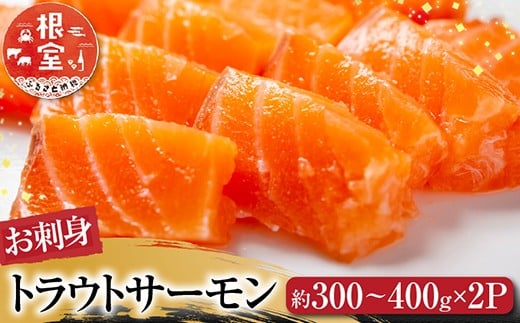 A-28130【12/10まで年内配送】  根室海鮮市場＜直送＞お刺身トラウトサーモン約300～400g×2P